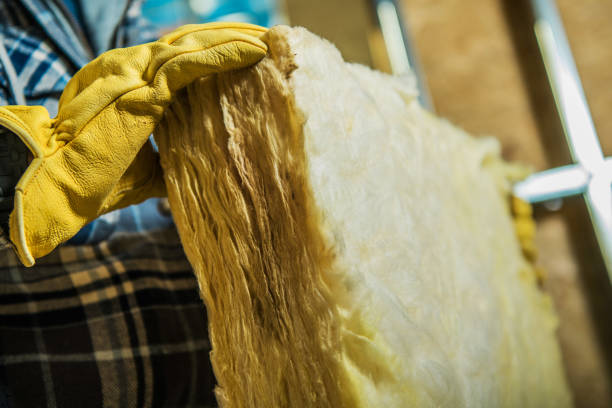 Best Commercial Insulation in Winchester, CA
